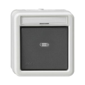 Wippschalter Kreuz BSF WD AP Grau Gira 010731