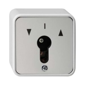 Schlüsselschalter 2-p WG AP Grau Gira 014430