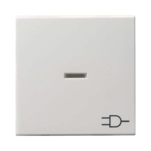 Wippe Kontrollf. + Symb. Steckd. System 55 Reinweiß m Gira 020927