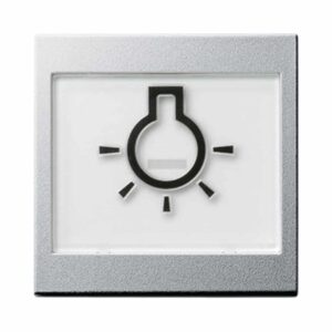 Wippe BSF + Symb. Licht groß tastbar System 55 F Alu Gira 021626