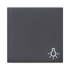 Wippe Symb. Licht System 55 Anthrazit Gira 028528