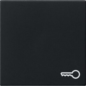 Wippe Symb. Tür System 55 Schwarz m Gira 0287005