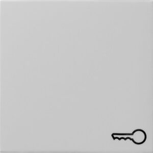 Wippe Symb. Tür System 55 Grau m Gira 0287015