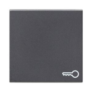 Wippe Symb. Tür System 55 Anthrazit Gira 028728