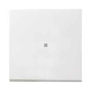 Wippe Kontrollf. Flächenschalter Reinweiß Gira 0290112