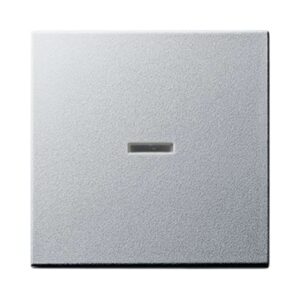 Wippe Kontrollf. System 55 F Alu Gira 029026