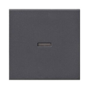 Wippe Kontrollf. System 55 Anthrazit Gira 029028