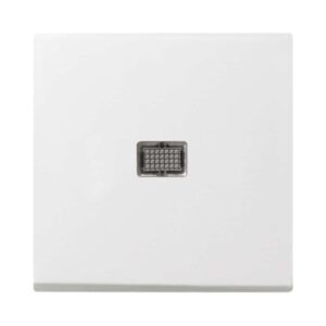 Wippe Kontrollf. groß System 55 Reinweiß Gira 029803