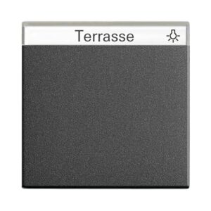 Wippe BSF System 55 Anthrazit Gira 029928