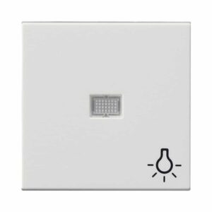 Wippe Kontrollf. groß + Symb. Licht System 55 Reinweiß Gira 063003