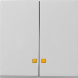 Wippe 2f Kontrollf. System 55 Grau m Gira 0631015