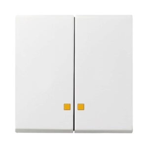 Wippe 2f Kontrollf. System 55 Reinweiß Gira 063103