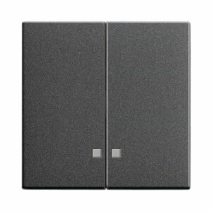 Wippe 2f Kontrollf. System 55 Anthrazit Gira 063128