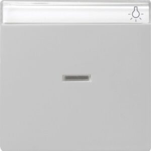 Wippe Kontrollf. + BSF System 55 Grau m Gira 0670015