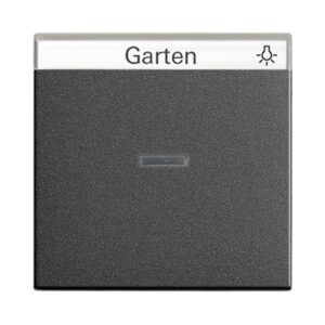 Wippe Kontrollf. + BSF System 55 Anthrazit Gira 067028