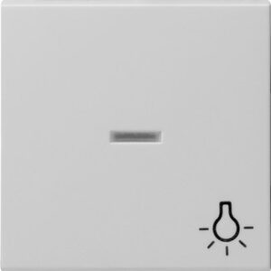 Wippe Kontrollf. + Symb. Licht System 55 Grau m Gira 0674015