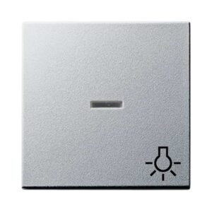 Wippe Kontrollf. + Symb. Licht System 55 F Alu Gira 067426