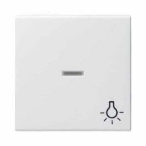Wippe Kontrollf. + Symb. Licht System 55 Reinweiß m Gira 067427