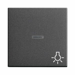 Wippe Kontrollf. + Symb. Licht System 55 Anthrazit Gira 067428