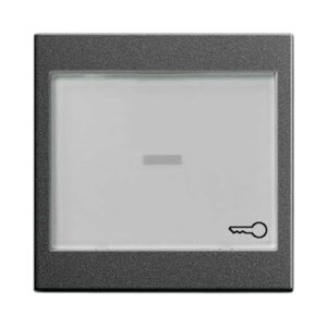 Wippe BSF groß System 55 Anthrazit Gira 067628