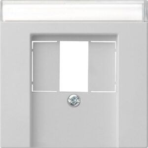 Abd. BSF TAE USB System 55 Grau m Gira 0876015