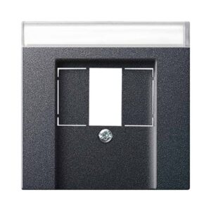 Abd. BSF TAE USB System 55 Anthrazit Gira 087628