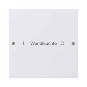 Wippenset 1f beschr. System 55 Reinweiß(lack.) Gira 220103