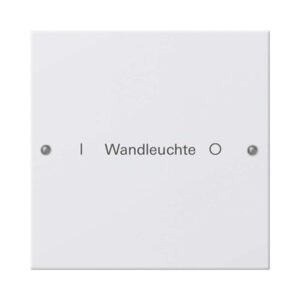 Wippenset 1f beschr. System 55 Reinweiß m(lack.) Gira 220127