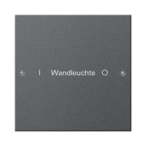 Wippenset 1f beschr. System 55 Anthrazit(lack.) Gira 220128