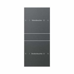 Wippenset 2f (1+1) beschr. System 55 Anthrazit(lack.) Gira 220228