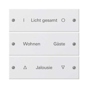 Wippenset 3f beschr. System 55 Reinweiß(lack.) Gira 220303