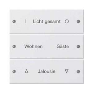 Wippenset 3f beschr. System 55 Reinweiß m(lack.) Gira 220327