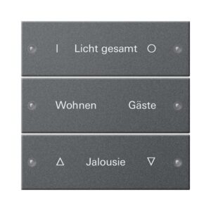 Wippenset 3f beschr. System 55 Anthrazit(lack.) Gira 220328
