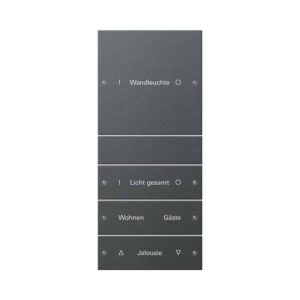 Wippenset 4f (1+3) beschr. System 55 Anthrazit(lack.) Gira 220428