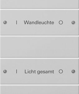 Wippenset 6f (3+3) beschr. System 55 Grau m(lack.) Gira 2206015