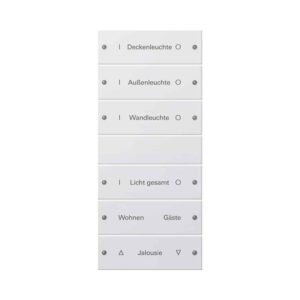 Wippenset 6f (3+3) beschr. System 55 Reinweiß(lack.) Gira 220603