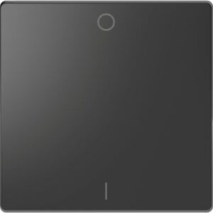 Wippe mit Kennzeichnung 0/ 1, Anthrazit, System Design Merten MEG3301-6034