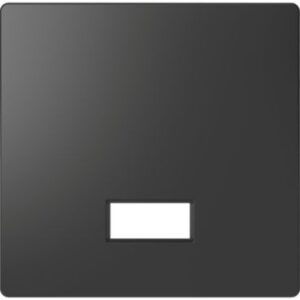 Wippe mit rechteckigem Symbolfenster, Anthrazit, System Design Merten MEG3350-6034