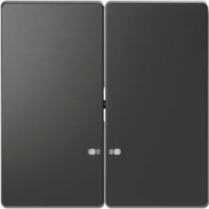 Doppelwippe mit Kontrollfenster, Anthrazit, System Design Merten MEG3420-6034