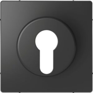 Zentralplatte für Wechsel-Rastschalter-Einsatz, Anthrazit, System Design Merten MEG3886-6034