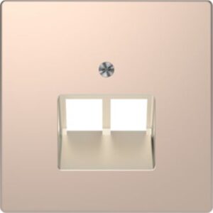 Zentralplatte für UAE-Einsatz, 2 fach , Champagnermetallic, System Design Merten MEG4522-6051