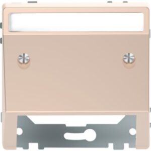 Schrägauslass mit Schriftfeld, Champagnermetallic, System Design Merten MEG4540-6051