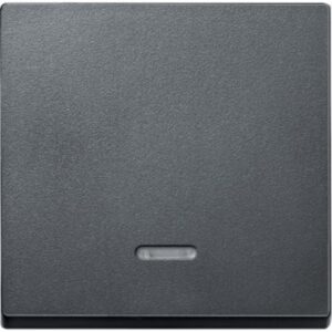 Wippe mit Kontrollfenster, anthrazit, System M Merten 431014