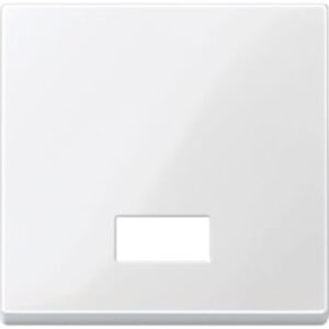 Wippe mit rechteckigem Symbolfenster, polarweiß glänzend, System M Merten 432819