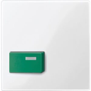 Zentralplatte für Abstelltaster, grün, polarweiß glänzend, System M Merten 451519
