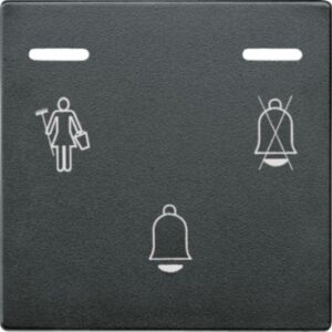 Klingeltaster mit LED-Anzeigen, anthrazit, System M Merten 587614
