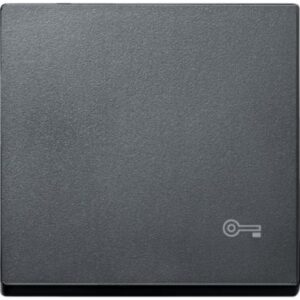 Wippe für Kennzeichnung Schlüssel, anthrazit, System M Merten MEG3303-0414