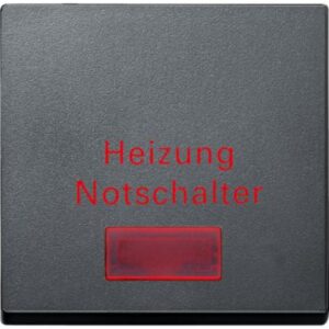 Wippe für Heizungs-Notschalter, anthrazit, System M Merten MEG3327-0414