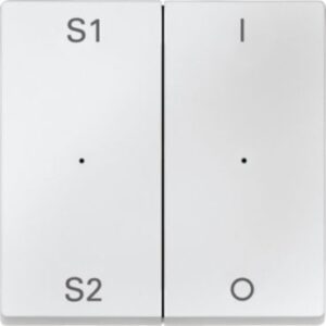 Wippen für Taster-Modul 2 fach  (Szene1/2, 1/0), polarweiß, System M Merten MEG5228-0419