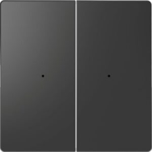 Wippen für Taster-Modul 2 fach , Anthrazit, System Design Merten MEG5220-6034